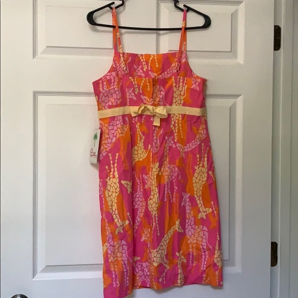 Lily Pulitzer Dress - Picture 2 of 6